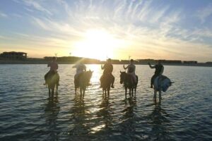 Horseback riding in the water