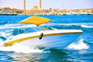 PRIVATE  4-hour Speed Boat Trip Swim With Dolphins, Snorkeling & Island